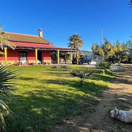 La Buganvilla, Descanso Entre Olivares Hornachuelos Eksteriør bilde
