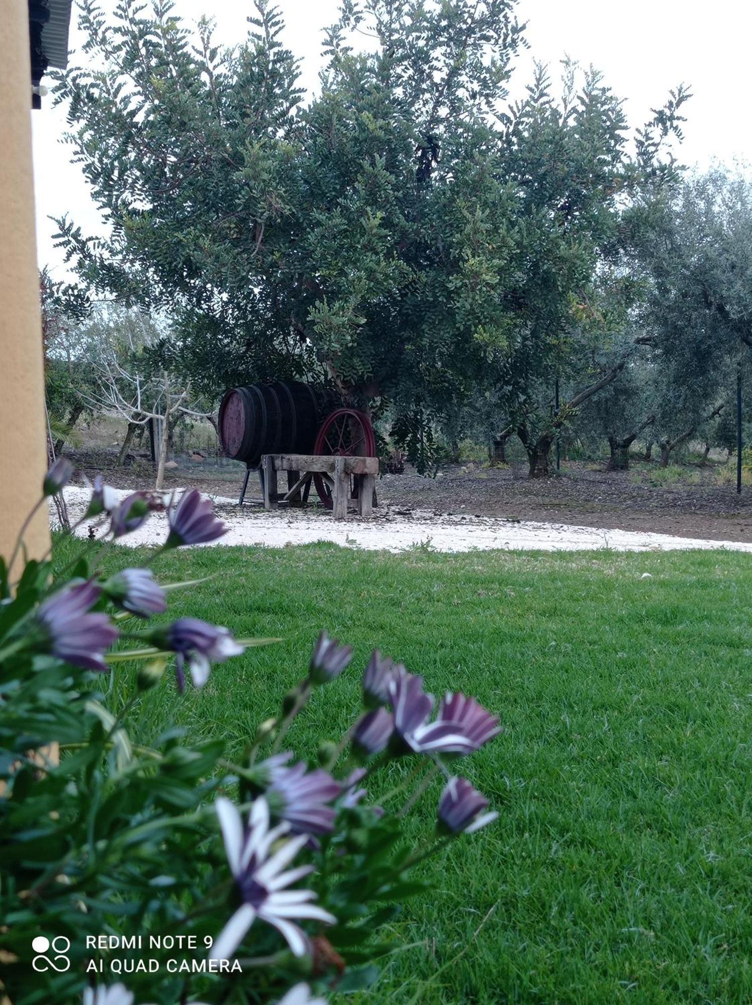 La Buganvilla, Descanso Entre Olivares Hornachuelos Eksteriør bilde